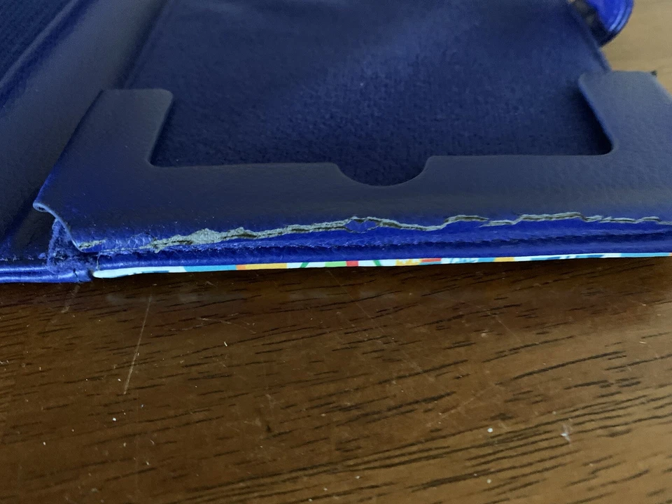 Auténtico Estuche Lector Electrónico Iconos Disney Parks Resorts Tablet iPad Mini Foto 4 de 4