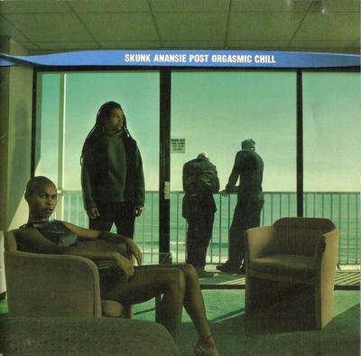 Skunk Records レア廃盤CDセット SKUNK ANANSIE Post Orgasmic Chill JAPAN Album VJCP-68117,CDV 2881