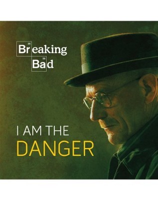 Breaking Bad: I Am the Danger, Running Press
