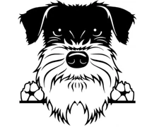 Schnauzer - Two Pack Black Vinyl Decal Car Truck Windows Laptop Notebook Tablet