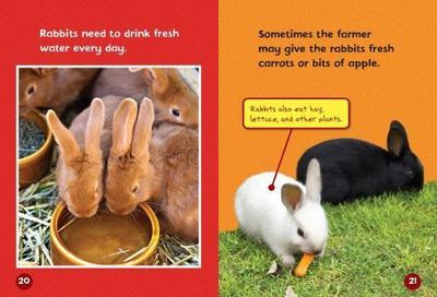 Meet a Baby Rabbit; Lightning Bolt Bo- paperback, 1512412406, Jennifer Boothroyd