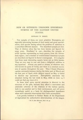 1903 Nymphs of Eastern US Ephemerid Edward W Berry Naturalist Vintage Article - Picture 1 of 3
