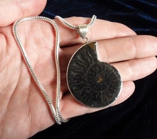 Fossil Ammonite .925 Sterling Silver Pendant w/ 3mm  20" .925 Snake Necklace B - Bild 8 von 9