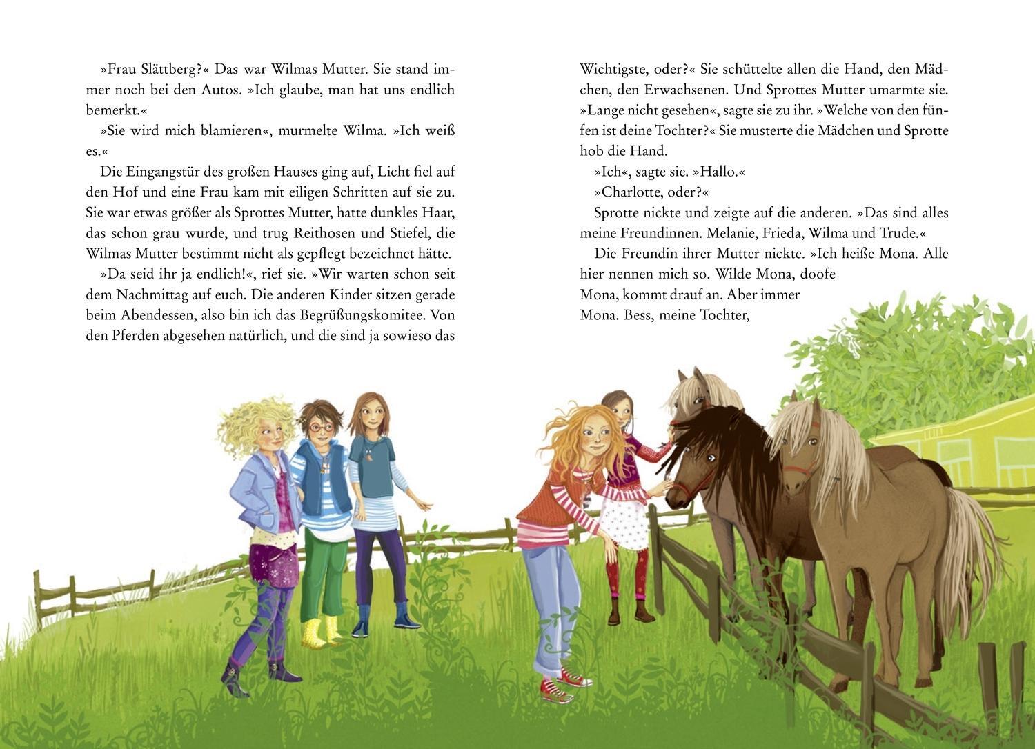 Thumbnail - Die Wilden Hühner Und Das Glück Der Erde - Cornelia Funke -