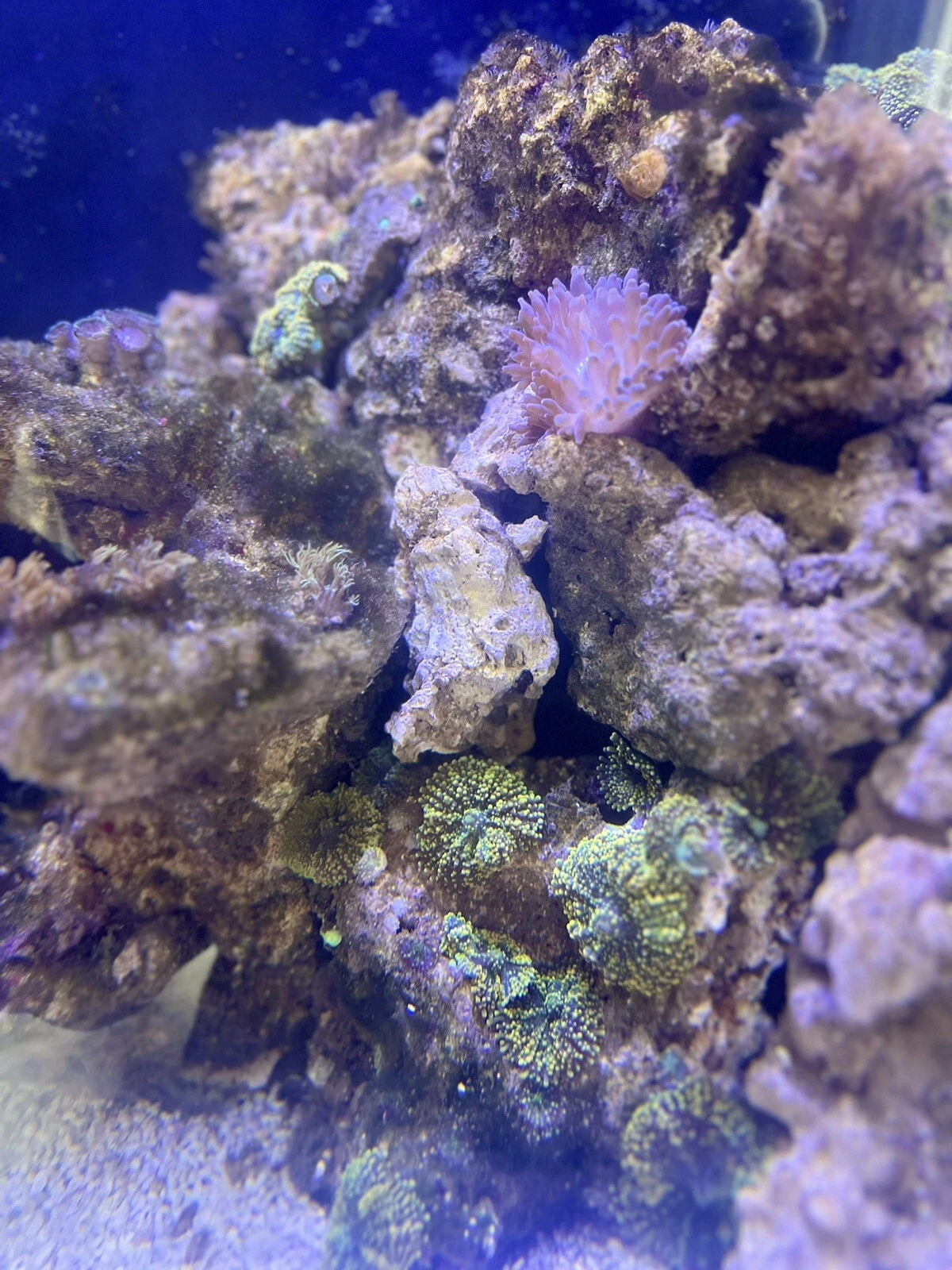 Picture 5 of 5