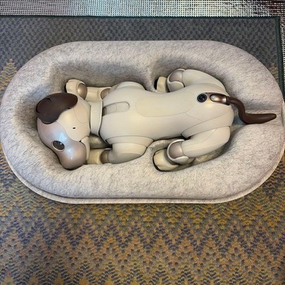 Sony AIBO ERS-1000 Entertainment Robot Dog Ivory White working Used From Japan