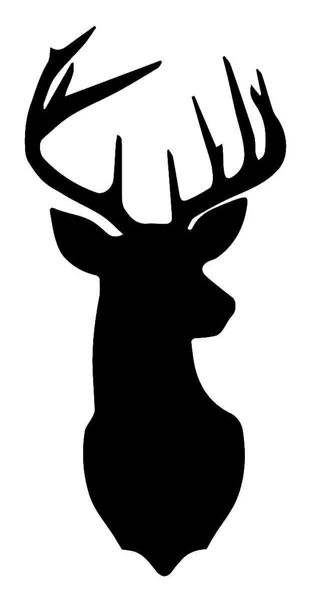 Comedor naturaleza Calcomanías Decoración Multicolor y vinilo arte