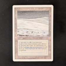 MTG \\>> Tundra (PO) <<// Revisionata - 341 Trading - Magic