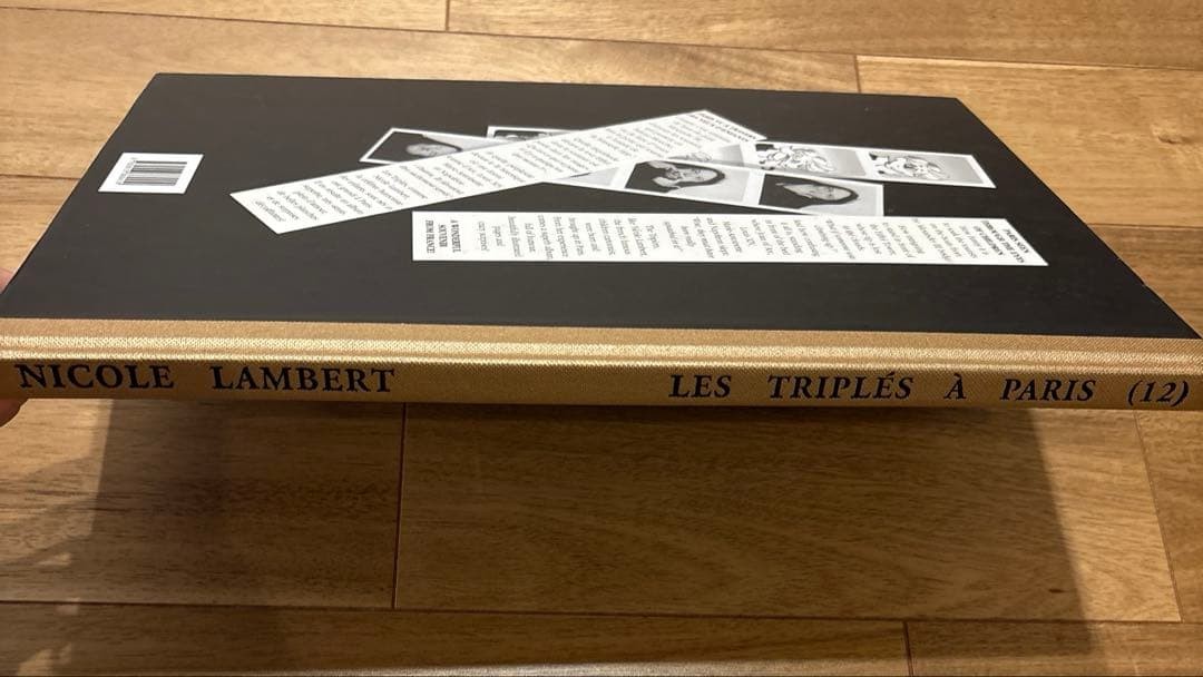 Les Triples Triplet Children French Edition Picture Book Rare | eBay