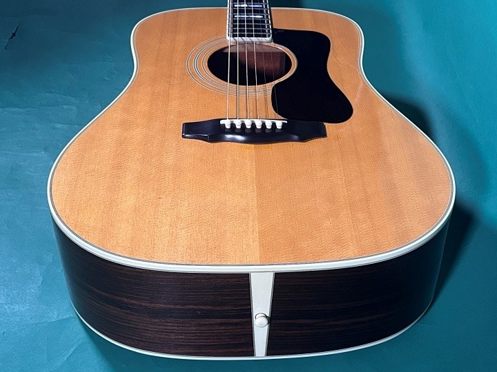 GUILD D-55 NT | eBay