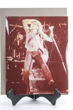 David Lee Roth 8 x 10 Color Print Live Performance.