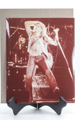 David Lee Roth 8 x 10 Color Print Live Performance. | eBay