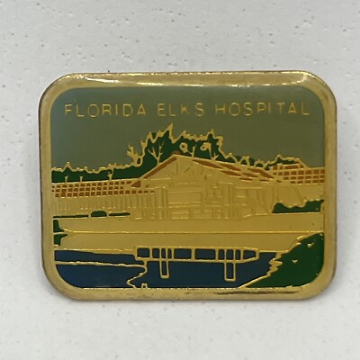 Florida Elks Hospital BPOE Lodge Benevolent Protective Order Enamel Hat Pin