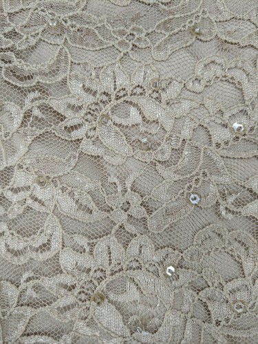 Randolph Duke Womens Sz 14 Acetate Lined Lacey Embellished Taupe Skirt (32") - Picture 5 of 9