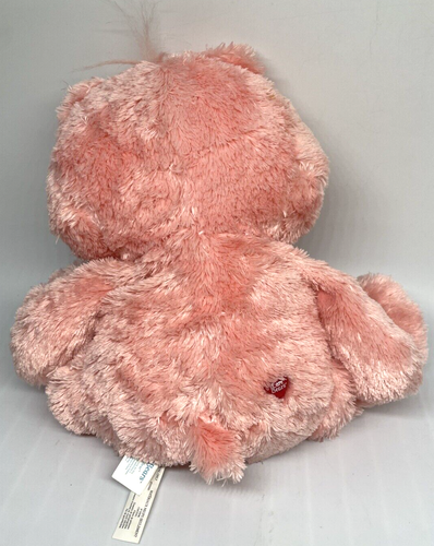 Vintage Care Bears LOT Plush Book Figures OOAK Photo Album Funshine Cheer MORE - Picture 7 of 17