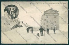 Aosta Piccolo San Bernardo Cane Genta cartolina QQ6079