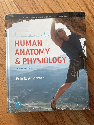 #ad #ad Human Anatomy amp; Physiology Book 2nd Ed Hardcover Amerman Instructor $25.99