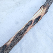 Diamond Willow Carving Wood Blank 62" Walking Stick Very Nice