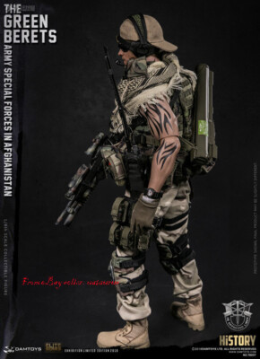 Perfect Damtoys 78057 1/6 “The Green Berets” Army Special Forces