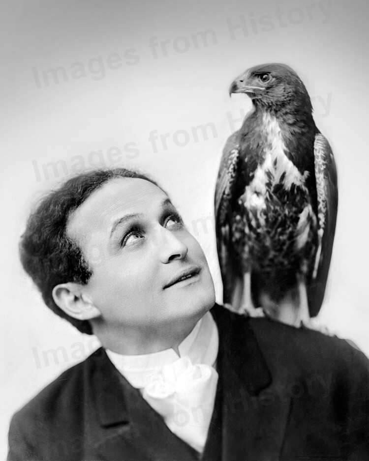 8x10 Print Harry Houdini Unseen Portrait #HHAA | eBay
