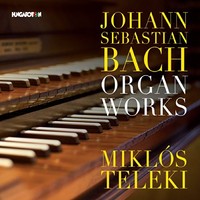 Organ Works - Miklos Teleki Organ - Cd - G3Z