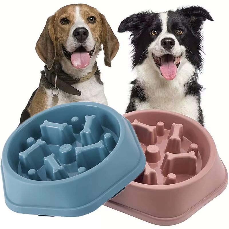 Beautiful view of Slow Eating Dog Feeder For Wolfing
