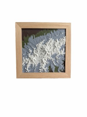 Denali National Park, AK 3D Topographic Map