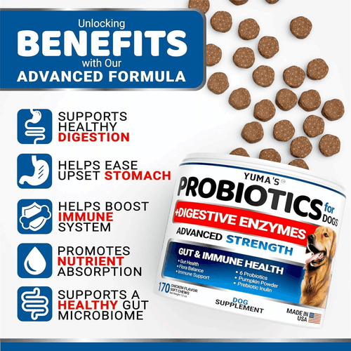 2 Pack Probiotics for Dogs and Digestive Enzymes Dog Probiotics Treats 340 Chews - Picture 2 of 6