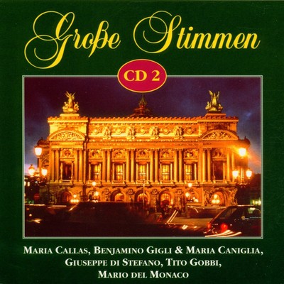 Various Große Stimmen Vol. 2 (CD)