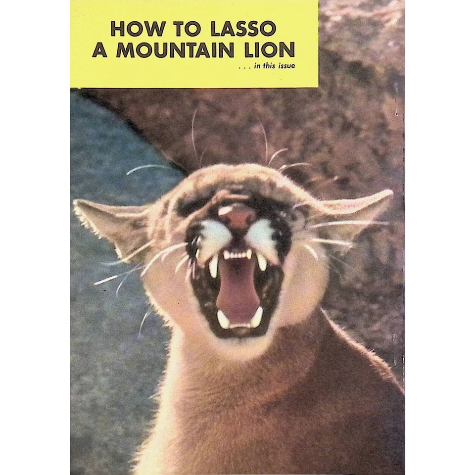 Pageant Magazine JUL 1951 News Pics Lifestyles Pocket 7x5 See Contents Pic - Imagem 2 de 4