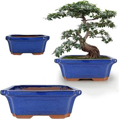 3 Pack Ceramic Rectangular Bonsai Tree Planter Pot Set 6 +7 +9 , Cactus Succulen