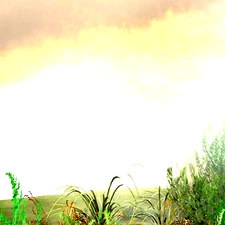 2 MAC TOOLS CL18L, 9/16" COMBINATION WRENCH, 9.75" LONG, 12 PT.&CL20L5/8" 10-3/4