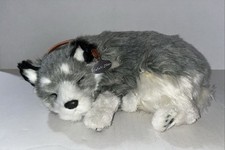 2004 Perfect Petzzz Alaskan Husky Plush Realistic Breathing Stuffed Dog Working