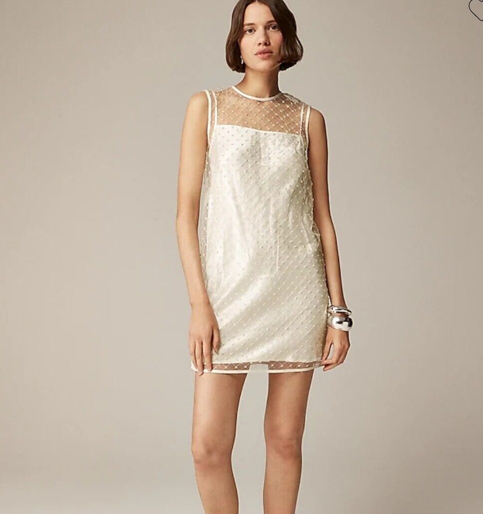 NWT Anna October x J.Crew Womens Sleeveless Mesh Mini Dress NWT Anna October x J.Crew Womens Sleeveless Mesh Mini Dress