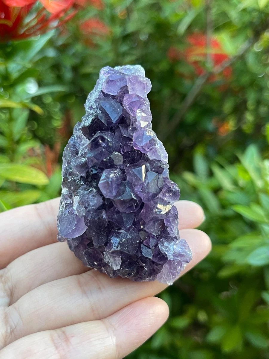 Rock Your Worth Amethyst Crystal, Raw Stone & Geode Cluster - Rock