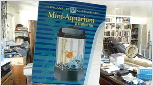 aquatic gardens mini aquarium