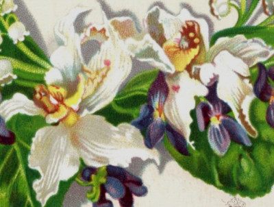 1880s Victorian Birthday Card Gorgeous Flowers Lily Violets #6E
