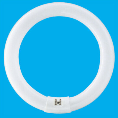 4x 32W G10Q 4 Pin T9 Rund 300mm Rund Lampe Leuchtstoffröhre Ring Glühbirne