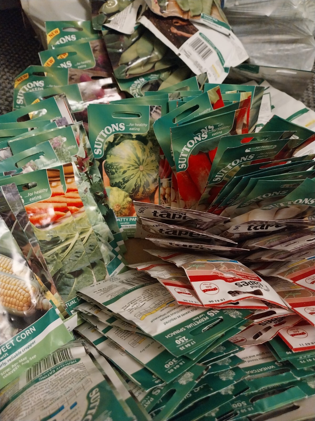 seeds various vegetable job lot 30 pkts over 2000 individual seeds eBay