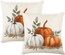 Fall Orange White Pumpkin Pillow Covers 18X18 Inch Set of 2 Pumpkins Eucalyptus