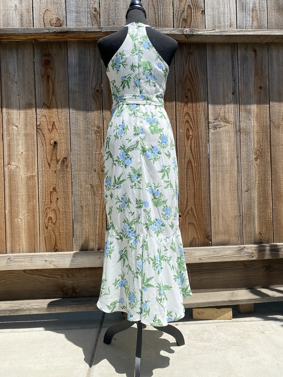 Disney Disney Princess Ivory Floral Ruffle Sleeveless Midi Dress Size XS | Sz: XS | Color: White blue Disney Disney Princess Ivory Floral Ruffle Sleeveless Midi Dress Size XS | Sz: XS | Color: White blue