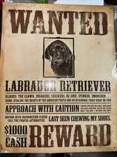 Vintage Replica Tin Metal Sign Ducks Labrador Retriever Lab Dog Black new 1148