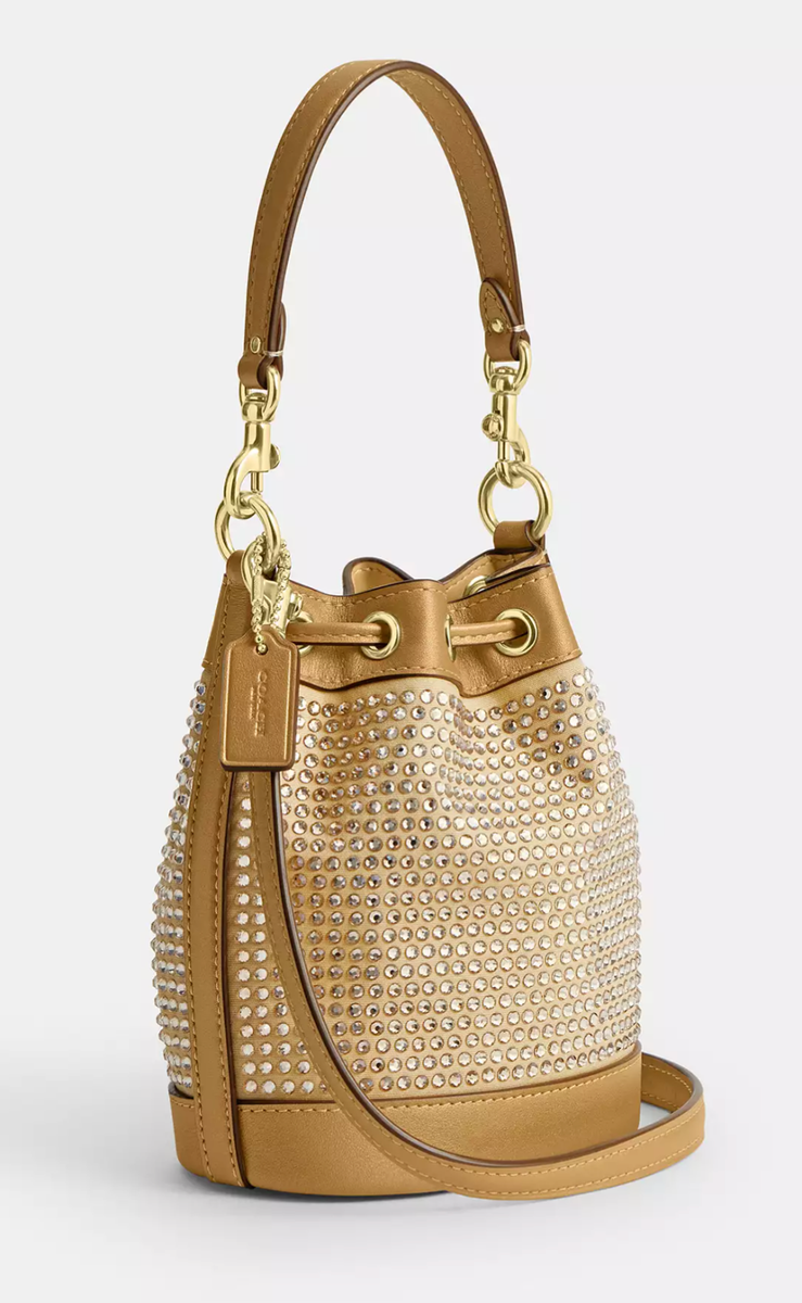 NWT Coach Mini Bucket Bag With Crystal CR145/CW301/CX213 | eBay