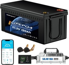 48V 120Ah lithium golf cart Battery 200A Bluetooth BMS 18A Charger for Golf Cart