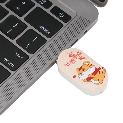 Cartoon U Disk Cute Animal Pattern Anti Electromagnetic Interference USB2.0 F CB