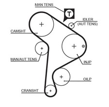 Courroie de distribution Seat INCA