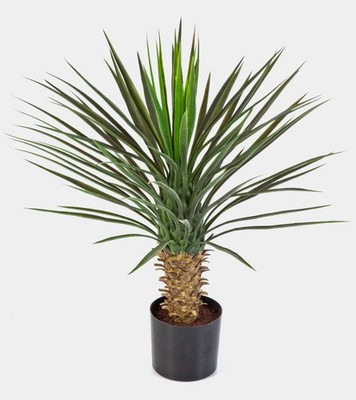 artplants Künstliche Yucca Rostrata, 90 Blätter, Deluxe, 80cm