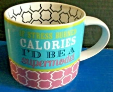 IF STRESS BURNED CALORIES I'D BE A SUPERMODEL 14 oz Coffee Mug Pastels Model Cup