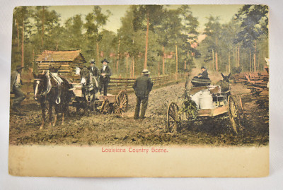 Antique Postcard Louisiana Country Scene Published by W.W. Frerichs New Orleans