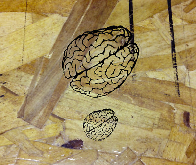 Brain Clear Sticker Decal Mind Brains Smart Genius - 3.75'' wide Black and Clear